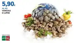 Basko Vongole o lupini offerta