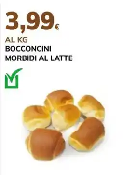 Basko Bocconcini morbidi al latte offerta