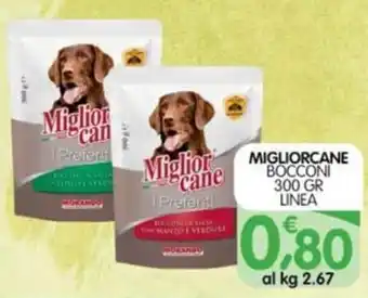 Miglior cane I Preferiti