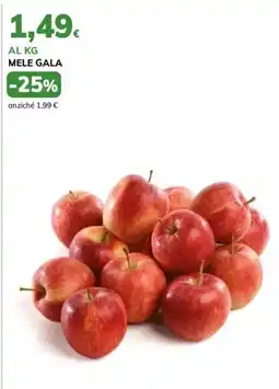 Basko Mele Gala offerta