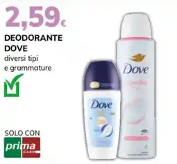 Basko Deodorante Dove offerta