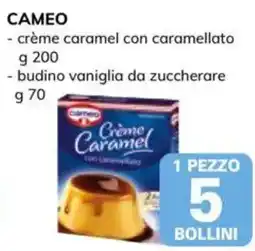 Basko Cameo crème caramel con caramellato offerta