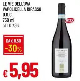 Galassia Le Vie dell'Uva Vapolicella Ripasso offerta