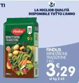 Le Delizie del Sud Findus Minestrone Tradizione offerta