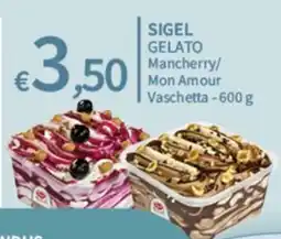 SpeSì Sigel gelato Mancherry/ Mon Amour Vaschetta offerta