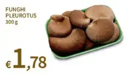 SpeSì Funghi Pleurotus offerta