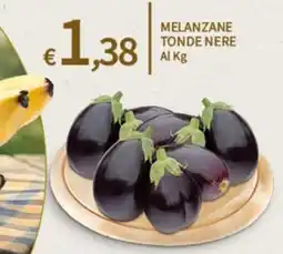 SpeSì Melanzane tonde nere offerta