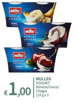 SpeSì Muller Yogurt Cremoso offerta