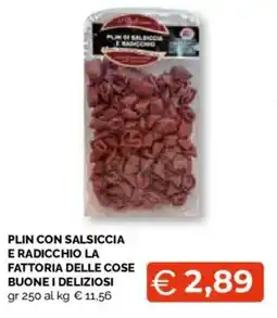 Mercatò Extra Plin con salsiccia e radicchio la fattoria delle cose buone i deliziosi offerta