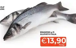 Mercatò Branzino 4/6 offerta