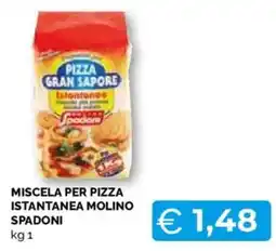 Mercatò Extra Miscela per pizza istantanea Molino Spadoni offerta