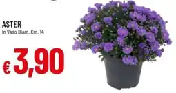 IperFamila Aster offerta
