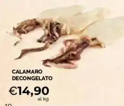 Mercatò Extra Calamaro decongelato offerta