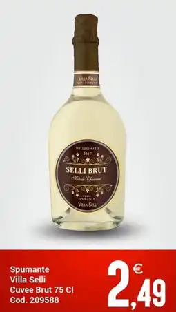 Centro Cash Spumante Villa Selli Cuvee Brut offerta