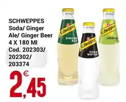 Centro Cash Schweppes Soda/ Ginger Ale/ Ginger Beer offerta
