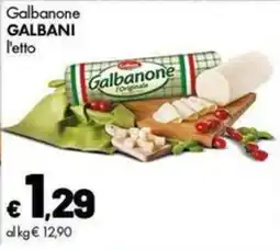 Supermercati Vinci Galbanone Galbani offerta
