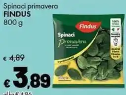 Supermercati Vinci Spinaci primavera Findus offerta