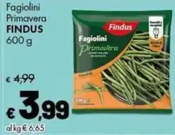 Supermercati Vinci Fagiolini Primavera Findus offerta
