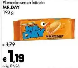 Supermercati Vinci Plumcake senza lattosio Mr. Day offerta