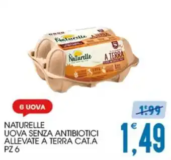 Naturelle uova senza antibiotici allevate a terra