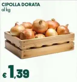 Supermercati Vinci Cipolla dorata offerta