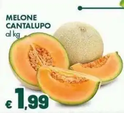 Supermercati Vinci Melone cantalupo offerta