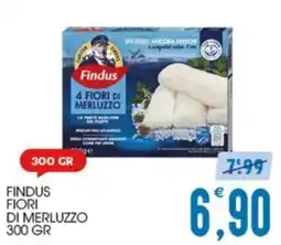 SpesAmica Findus Fiori di Merluzzo offerta