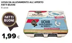 Tigre Amico Uova da allevamento all'aperto offerta