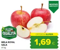 Tigre Amico Mela Royal Gala offerta