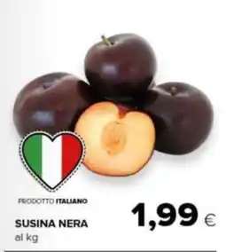 Tigre Amico Susina Nera offerta
