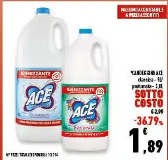 Conad Superstore Candeggina offerta