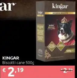 PiùMe Kingar Biscotti cane offerta
