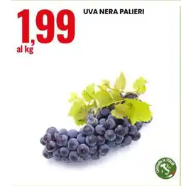 Eurospin UVA NERA PALIERI offerta
