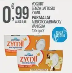 Iper Nonna Isa Yogurt senza lattosio Zymil Parmalat offerta