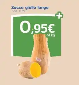 C+C Italmarket Zucca gialla lunga offerta