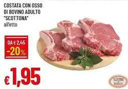 Galassia Costata con osso di bovino adulto "Scottona" offerta