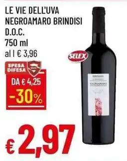 Galassia Le vie dell'uva negroamaro brindisi offerta