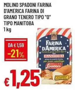 Galassia Farina d'America tipo Manitoba offerta