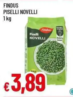 Galassia Findus Piselli Novelli offerta