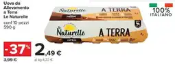 Carrefour Iper Uova da Allevamento a Terra Le Naturelle offerta