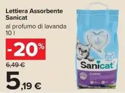 Carrefour Iper Lettiera Assorbente Sanicat offerta