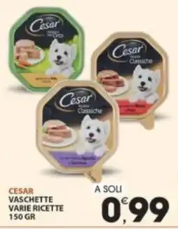 Mercati di Città La Prima Cesar vaschette varie ricette offerta