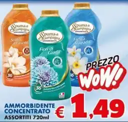 Europlanet Casa Spuma di campagna ammorbidente offerta