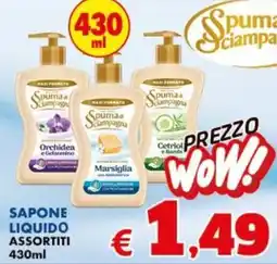 Europlanet Casa Spuma di campagna sapone liquido offerta