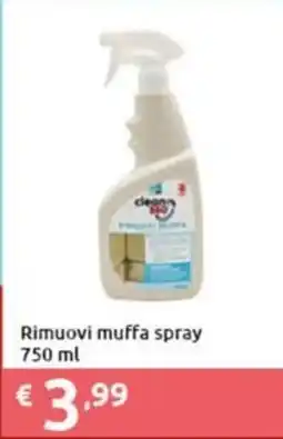 Smoll Rimuovi muffa spray offerta