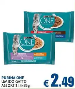 Europlanet Casa Purina One umido gatto offerta