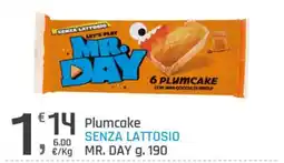 Supermercati Dok Plumcake senza lattosio Mr. Day offerta