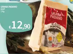 SpeSì Grana Padano DOP offerta