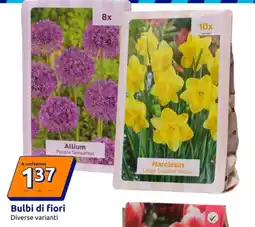 Action Bulbi di fiori offerta