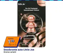 Action Deodorante auto Little Joe offerta